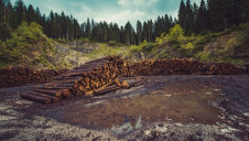 Humans use around 72% of the world’s ice-free land surface